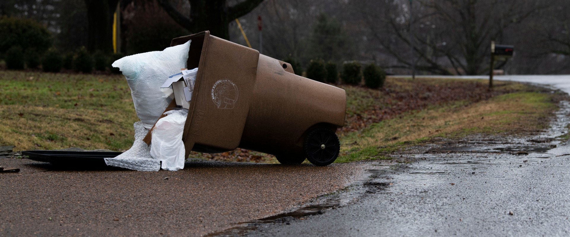 Public Sanitation Services in Nashville and Davidson Counties: Policies and Regulations