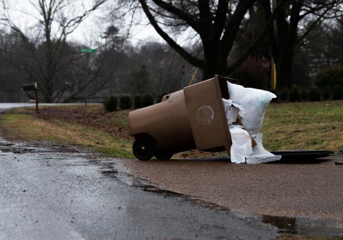Public Sanitation Services in Nashville and Davidson Counties: Policies and Regulations